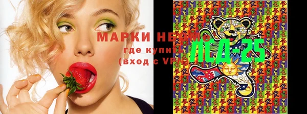 меф Арсеньев