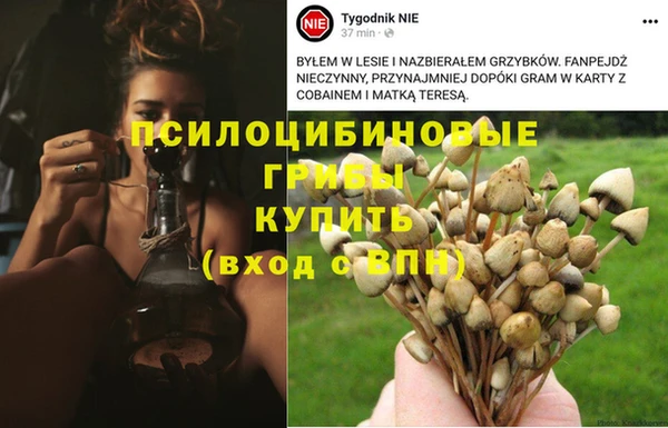 гидропоника Алзамай