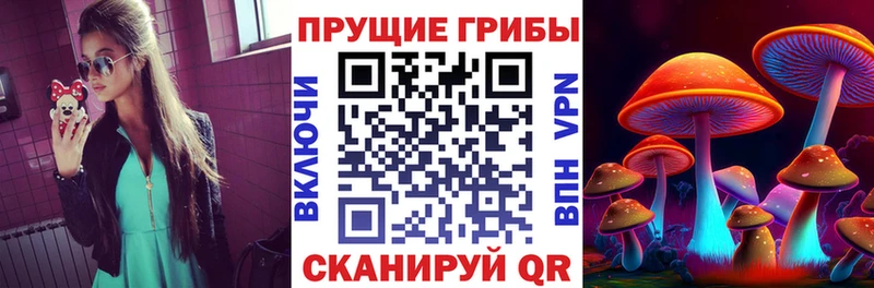 Галлюциногенные грибы ЛСД  Бежецк 